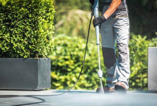 Best Boat and Dock Cleaning  in Roodhouse, IL