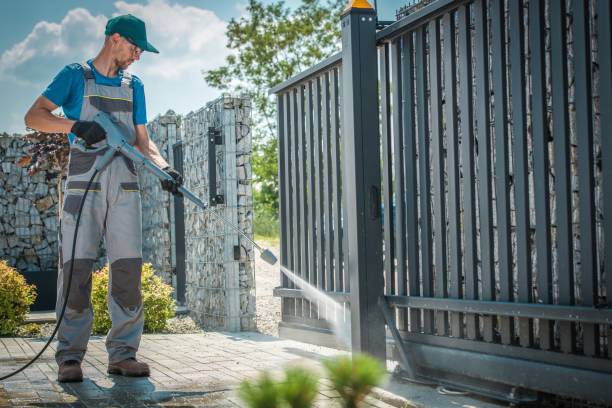 Best Pre-Holiday Cleaning  in Roodhouse, IL