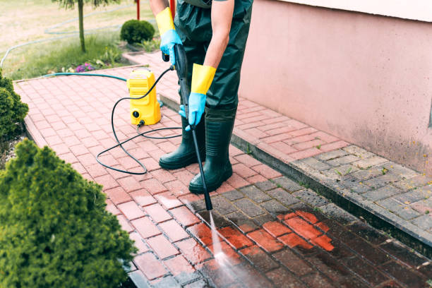 Best Warehouse Cleaning  in Roodhouse, IL